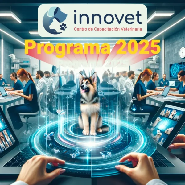 Programa Prorgrama innovet 2025