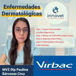 Curso Derma