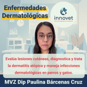 Curso Dermatologia veterinaria
