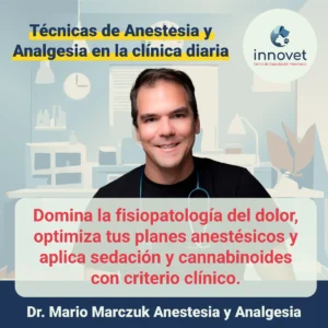Curso Mario Marckzuk