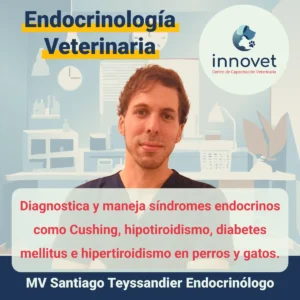Curso endocrionologia veterinaria
