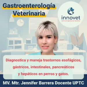 Curso gastroenterologia veterinaria