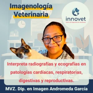 Curso imagenologia veterinaria