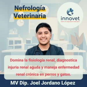 Curso nefrologia veterinaria
