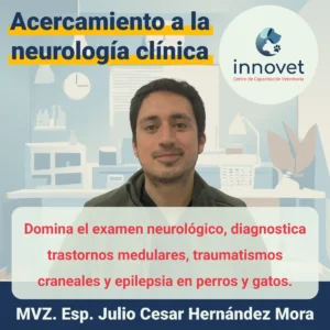 Curso neurologia veterinaria