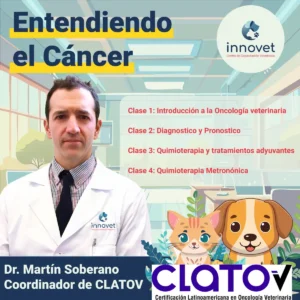 Paciente Oncologico