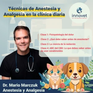quimioterapia metronomica veterinaria copia