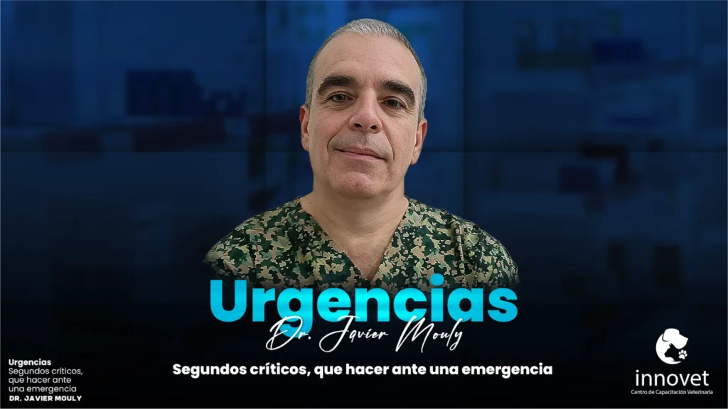 Segundos críticos, qué hacer ante una emergencia Urgencias 2026