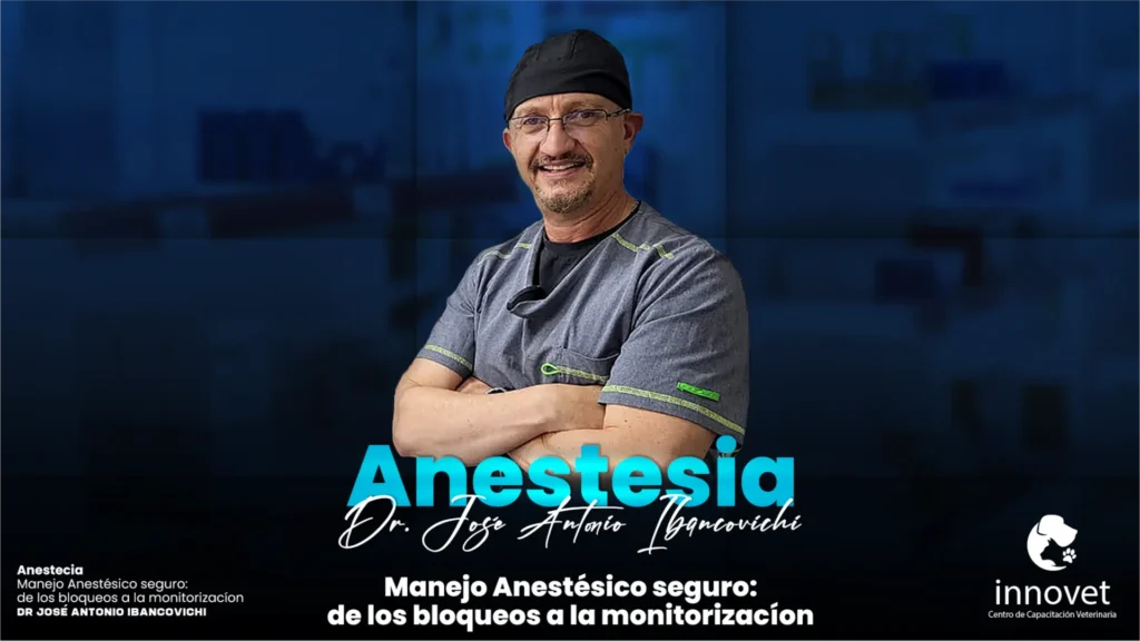 Manejo Anestésico seguro: de bloqueos a la monitorización Anestesia 2026