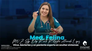Medicina Felina. Virus, bacterias y un paciente experto en ocultar síntomas