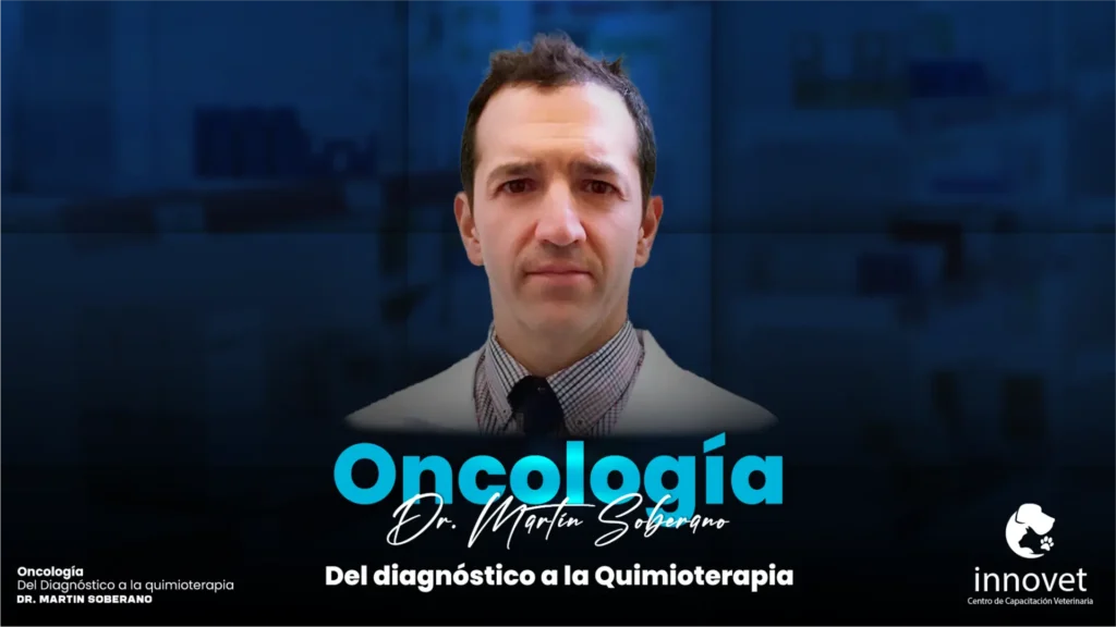 Del Diagnostico a la Quimioterapia Oncología 2026