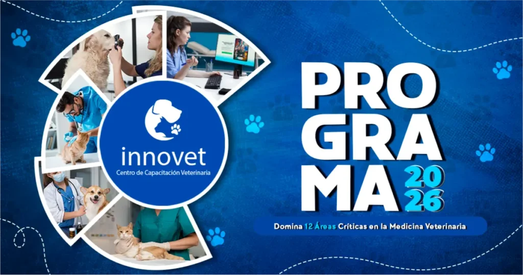 Programa innovet 2026