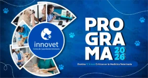Programa innovet 2026