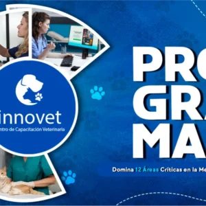 Programa innovet 2026