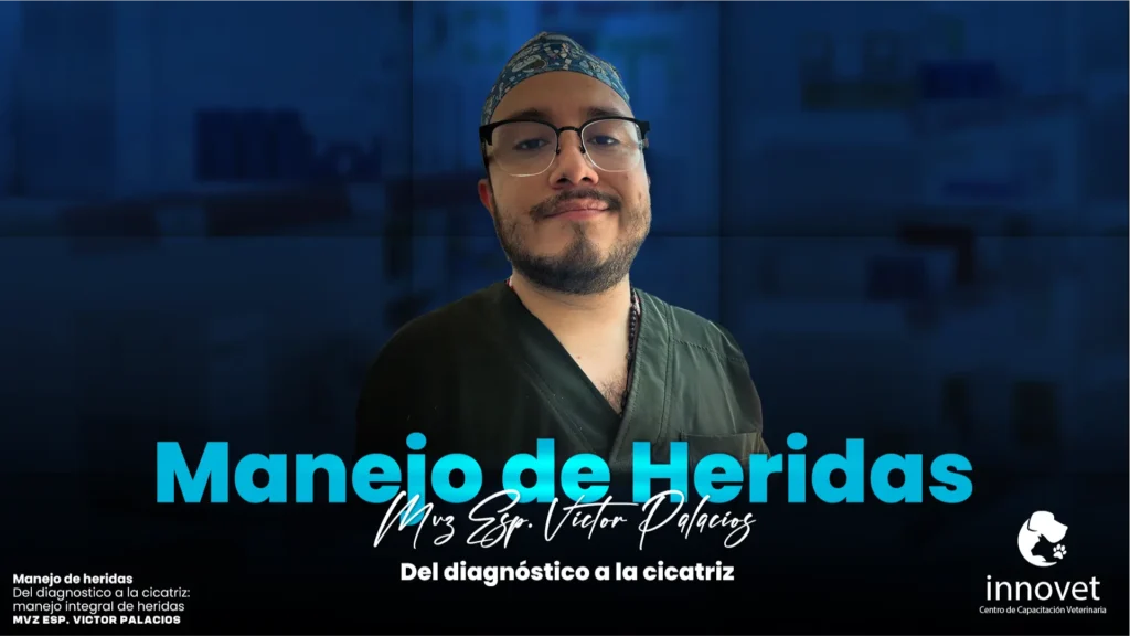 Del diagnóstico a la cicatriz Manejo de heridas 2026